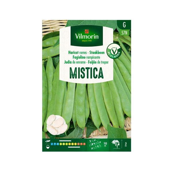 VILMORIN. JUDIA ENRAME MISTICA G...