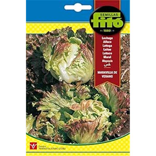 FITO. SEMILLA LECHUGA MARAVILLA ...
